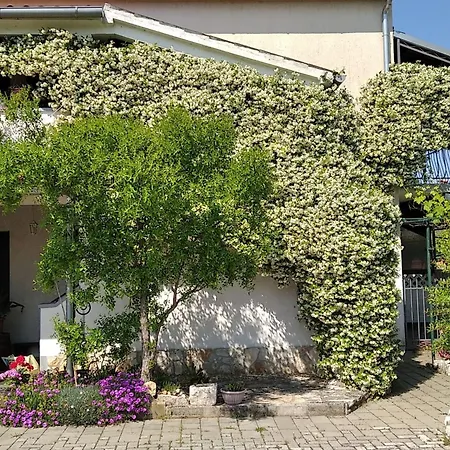 Apartment Sasa B4 - Hr-11069-01 By Interhome Porec